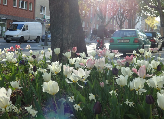 p4250900.jpg