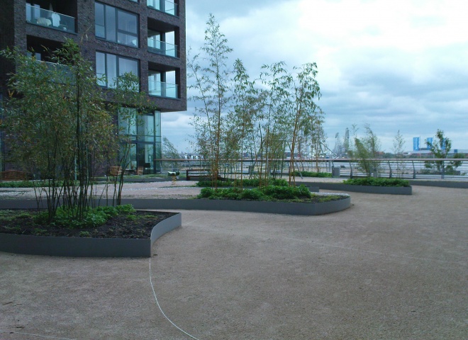 dsc00133.jpg