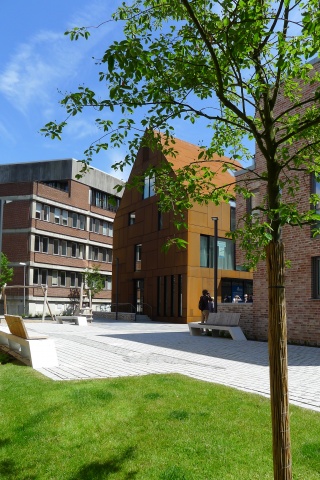 p1310950_.jpg